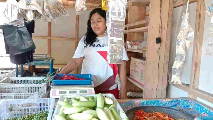 Harga Kebutuhan Pokok di Pasar Pangandaran Melonjak