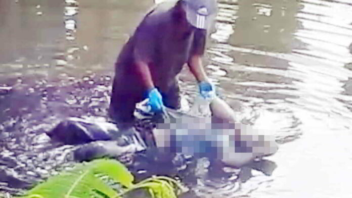 Mayat Mr X Ditemukan Mengambang di Kolam Ikan di Tasikmalaya