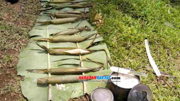 Nasi Lemang