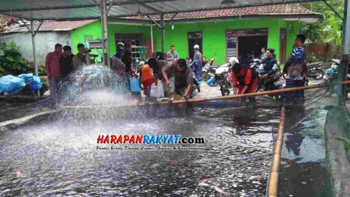 Ikan Segar di Pangandaran