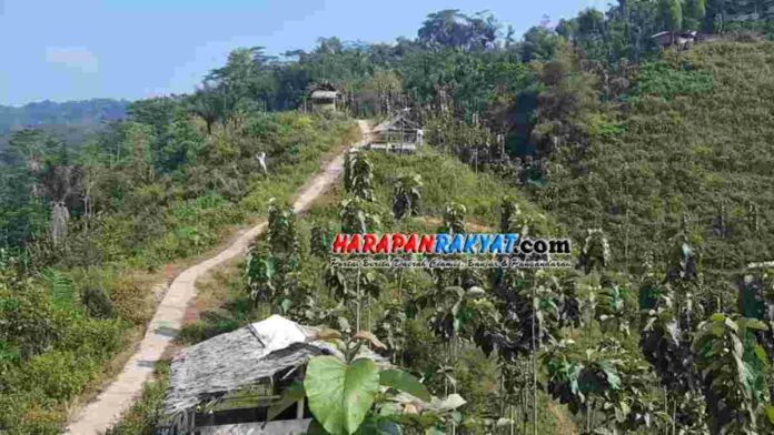 wisata Bukit Puji Ningrum