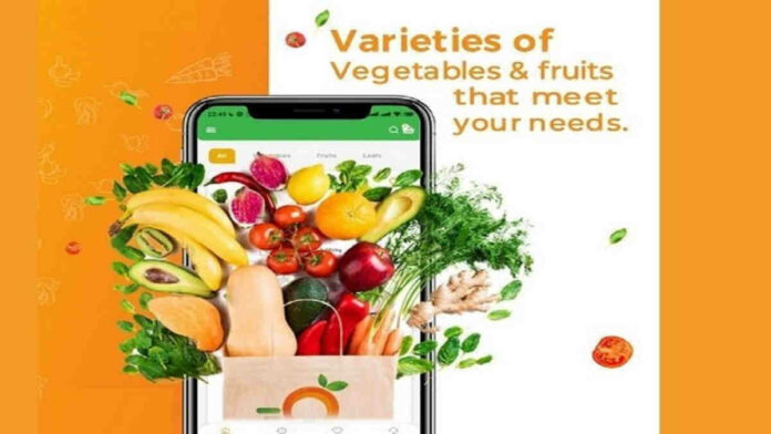 Aplikasi Belanja Sayur Online