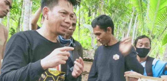 Madu Asli Pangandaran Punya Rasa Unik, Legit dan Asin