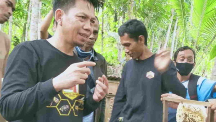 Madu Asli Pangandaran Punya Rasa Unik, Legit dan Asin