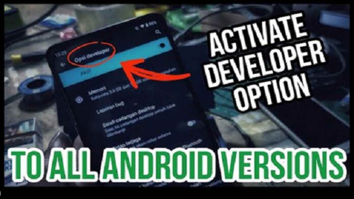 Mengaktifkan Developer Option HP Lengkap dengan Fungsinya
