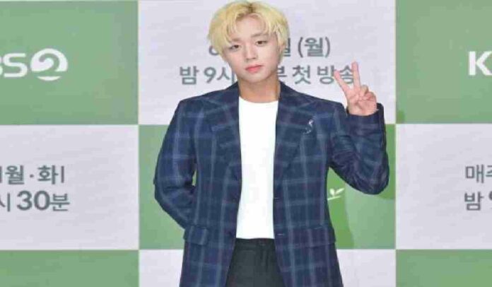 Park Ji-Hoon, Idol Sekaligus Aktor Drakor Terbaru
