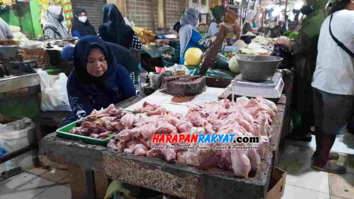 Dampak Aksi