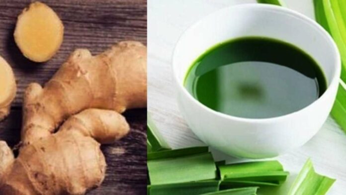 Daun Pandan