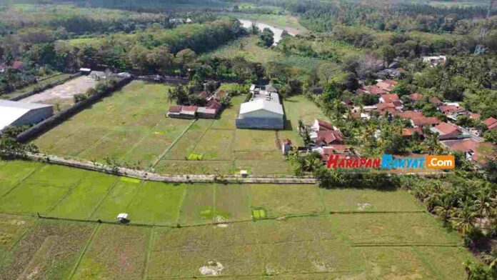 Sawah di Cibentang