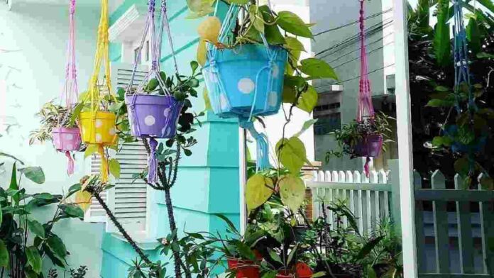 Taman Gantung Depan Rumah, Untuk Inspirasi Rumah Semakin Indah