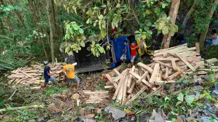 Truk Bermuatan Kayu