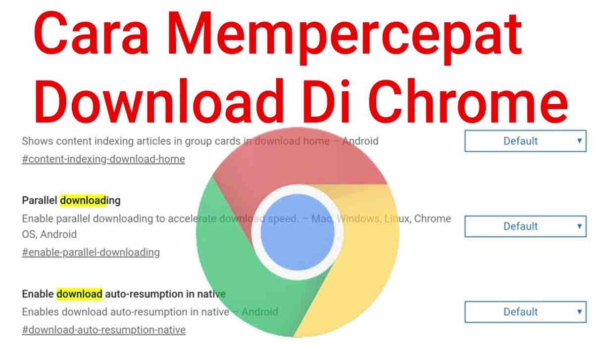 plugins chrome android flash