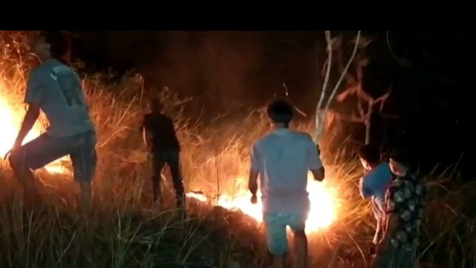 3 Hektar Kebun di Desa Karangmulya Pangandaran Terbakar