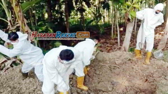 Data Terbaru Covid-19 di Kabupaten Pangandaran