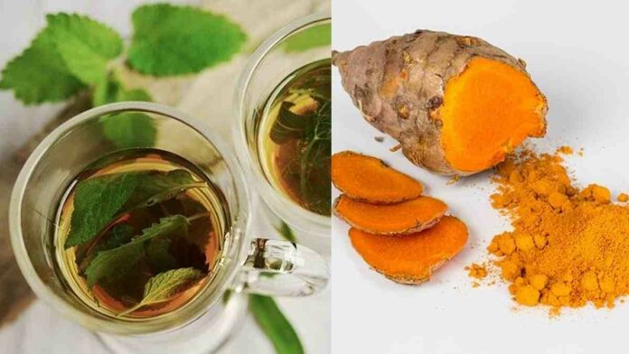 herbal untuk imunitas tubuh