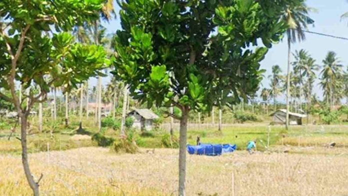 Bentrok Sengketa Lahan di Pangandaran