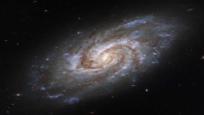 Galaksi Spiral IC 1954, Terlihat Hublle di Konstelasi Horologium Selatan