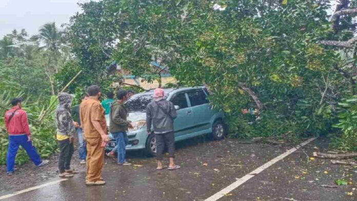 Pohon tumbang timpa mobil