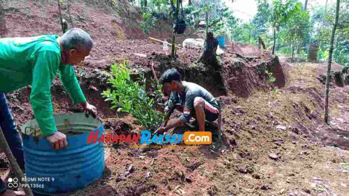 Koptan Wibawa Mukti