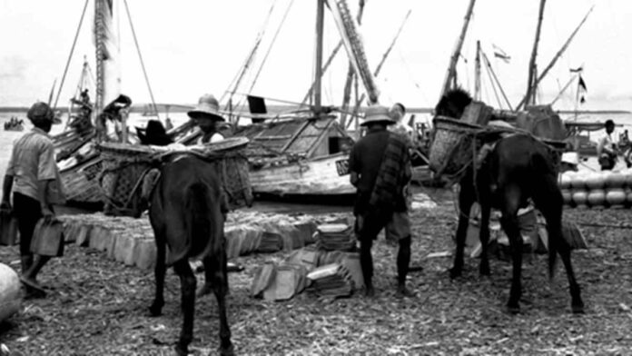 Sejarah Migrasi Indonesia