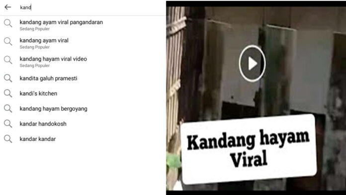 Heboh Kandang Ayam Viral Pangandaran