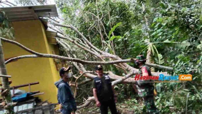 Hujan dan Angin