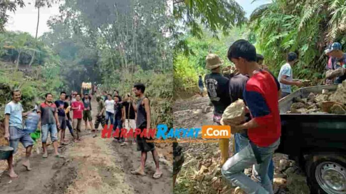 Karang Taruna