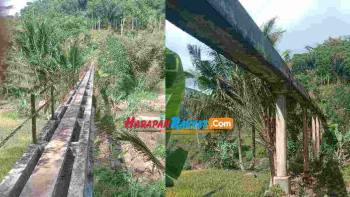 Jembatan Kiwiri