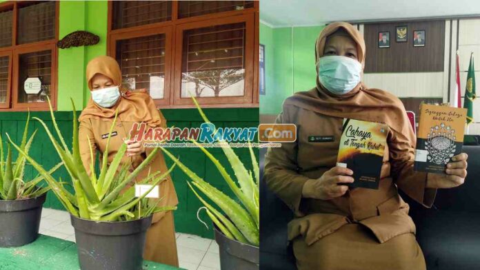 Kembangkan Lidah Buaya SMAN 1 Pamarican Ciamis Juara Adiwiyata