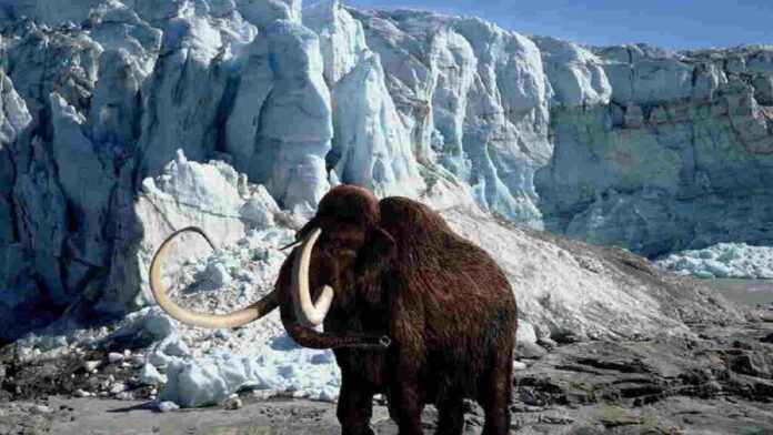 Misi Hidupkan Kembali Hewan Purba Mammoth, Disebut Juga Colossal