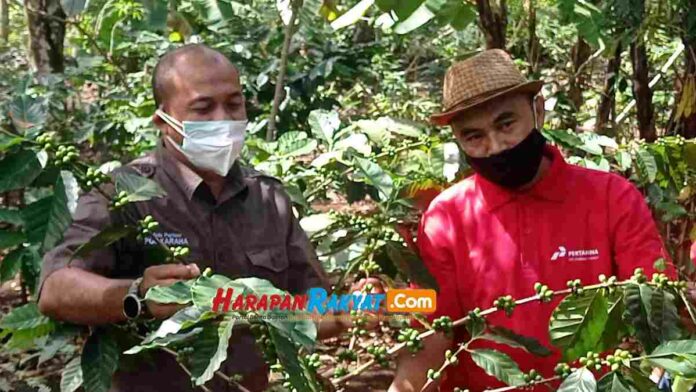 Petani Kopi di Tasikmalaya