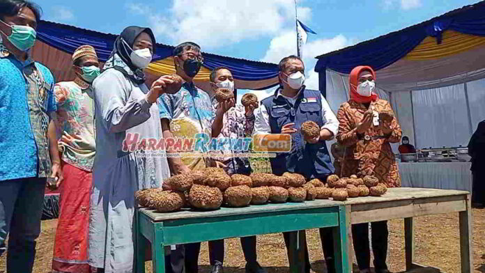 Petani Porang di Pangandaran akan Dapat Bantuan Modal Tanpa Agunan