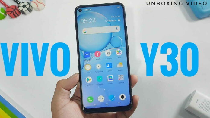 HP Vivo Y30 Vitality Edition