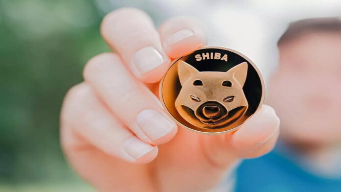Cara Beli Shiba Inu Coin dengan Menggunakan Beberapa Aplikasi Terbaik