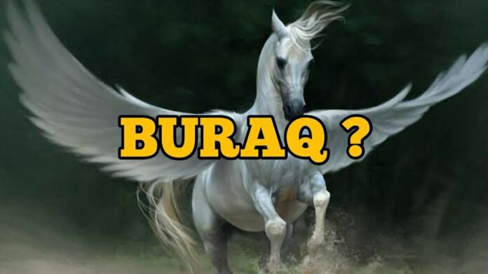 Buraq Kendaraan Nabi Kendaraan Mengantarkan Ke Sidratul Muntaha