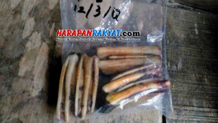 Harta Karun Desa Selasari