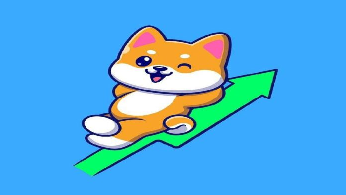 Harga Shiba Inu Coin Naik Di Urutan 12 Cryptocurrency