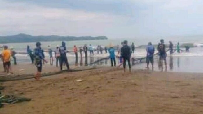 Ikan di Pangandaran