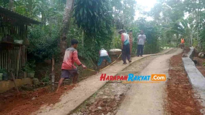 Ekonomi Petani