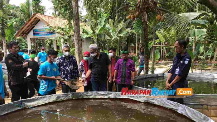 Kenaikan harga pakan ikan
