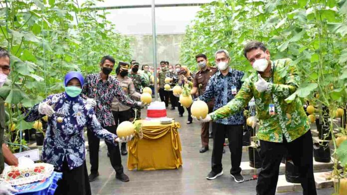 Melon Inthanon dan Wakatobi
