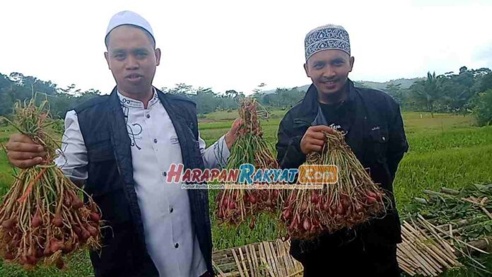Pangandaran Kini Tidak Kesulitan Dapatkan Benih Bawang Merah