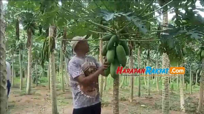 BUMDes di Tasikmalaya