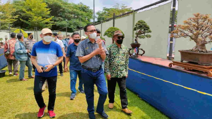 Sekda Tatang Minta Bonsai di Ciamis Dikembangkan