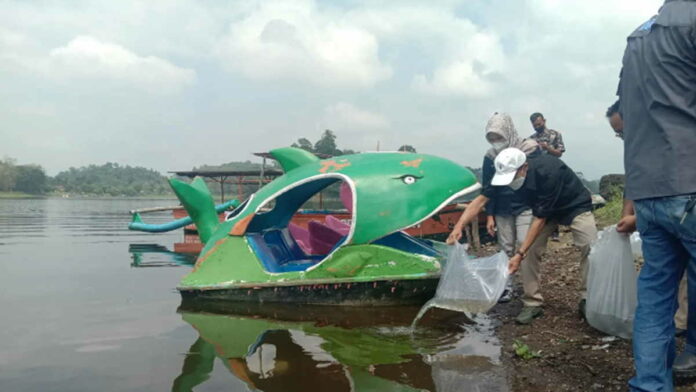 Tebar 200 Ribu Benih Ikan