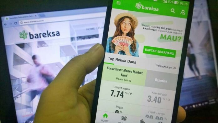 Cara Investasi di Bareksa untuk Para Pemula yang Mudah dan Efisien