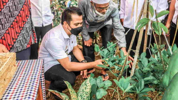 3 Tantangan Pertanian di Ciamis Menurut Wabup Yana