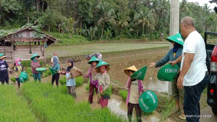 Anggota DPRD Pangandaran Bagikan Dudukuy kepada Petani