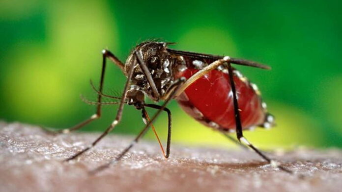 Antisipasi Pasien DBD Meningkat, PMI Banjar Maksimalkan Donor Darah
