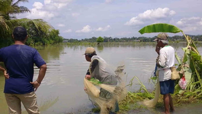 Banjir di Banjarsari Ciamis Dimanfaatkan Warga untuk Menjala Ikan